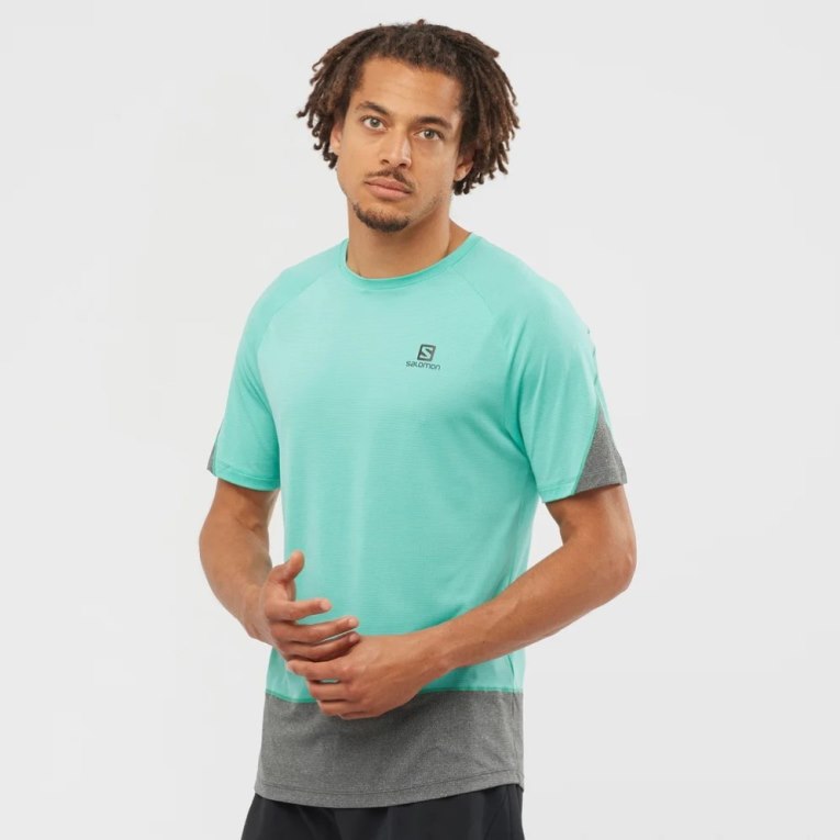 Turquoise / Grey Salomon Cross Run Short Sleeve Men\'s T-Shirts | PH 50438G